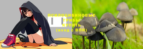 дурь Алзамай