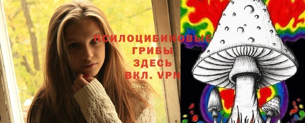 амф Алексин